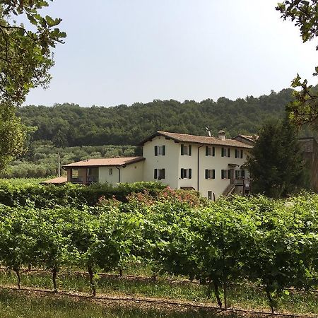 Agriturismo Ca' Castellani Bardolino Exterior photo